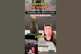 文旅局回应听泉赏宝撞脸文物，本地出土，真的一模一样，不是AI图片
