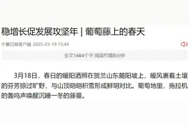 区媒看西夏 | 宁夏日报：葡萄藤上的春天图片