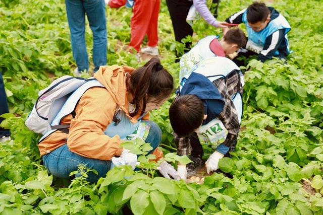 农趣“驾”年华·乐享田园风 嘉定七彩田园农事挑战赛上演亲子春日田园派对