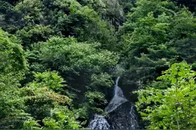 赤水河“蝶变”——云南镇雄多措并举保护鱼类多样性图片