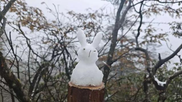 真的下雪啦！瓦屋山初雪突降！彩林+初雪的绝美同框，免门票就能看见！