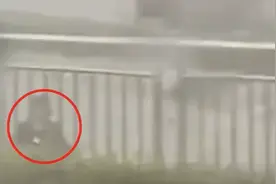 揪心！陕西一女公交司机救人后被水冲走，最新回应图片