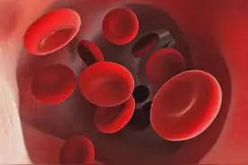 【垂医科普】血液科（肿瘤内科）：带您了解全血细胞减少图片