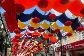 萌宠互动、快闪舞蹈、蛋仔见面会……这个假期，上海欢乐谷“街头红人节”精彩多多图片