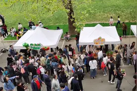 中国农科院蔬菜花卉研究所多种活动展示农业科技成果图片