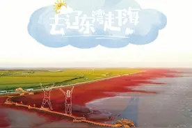 去辽东湾赶海图片