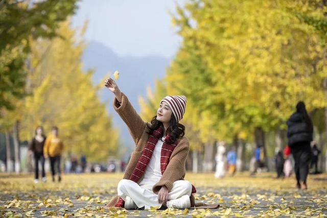 落叶缓扫，诗意长留！彭州的秋天被“绣”在了大地上