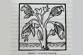 史地新知录⑩|历史深处的那些棉花旧事图片