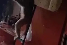 女生寝室闯入“不速之客”，把女孩们吓得花容失色，还厚着脸皮蹭吃蹭喝……图片