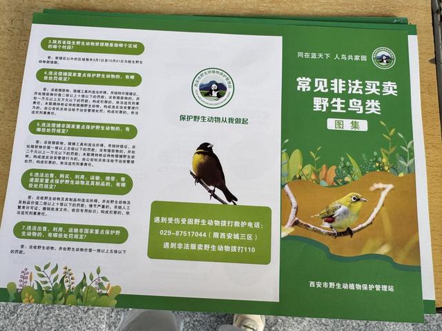 开展野生鸟类保护主题宣传筑牢生态保护屏障