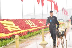 警犬队的故事：70年的变与不变图片