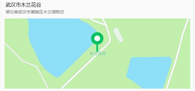 惊艳全国！2026黄陂首登央视