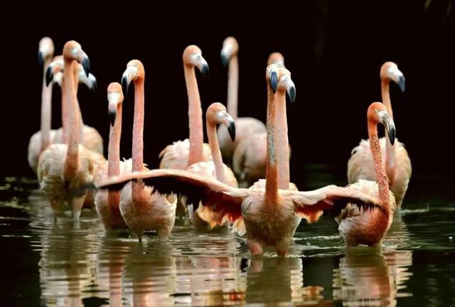 来南沙看五月天！看海、骑行……100+网红打卡点合集→