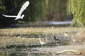 今天是第56个世界地球日：珍爱地球，人与自然和谐共生图片