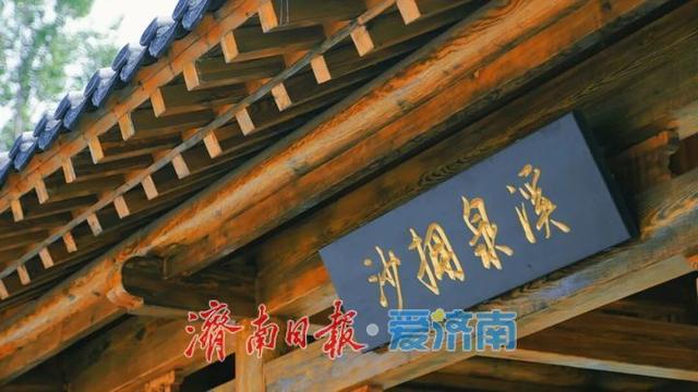 白泉湿地公园对外开放吸引众多市民关注