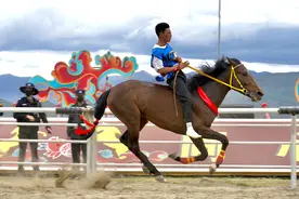 2025香格里拉赛马会“剧透”来袭！硬核玩法抢先看→图片