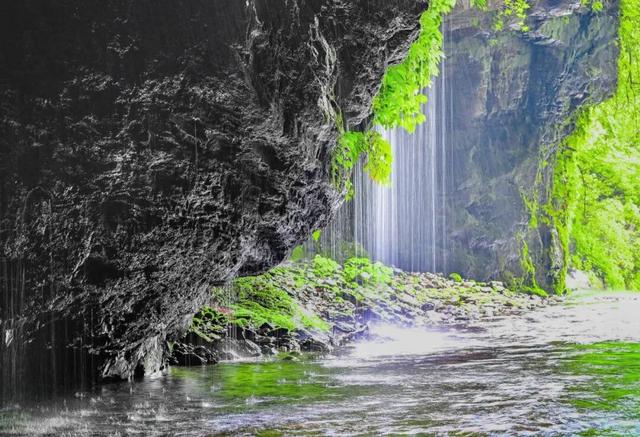 漾濞是“世界核桃起源地”！有五个维度可为证……