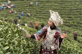 贵州销售额增速全国第一！2024抖音电商产业带发展报告发布图片