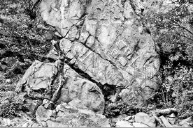 新知｜一个“梅”字一万一图片