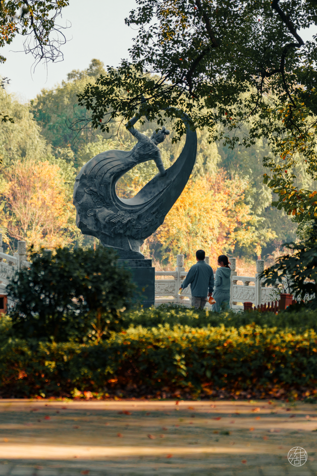 天晴了，去落雁过秋天！