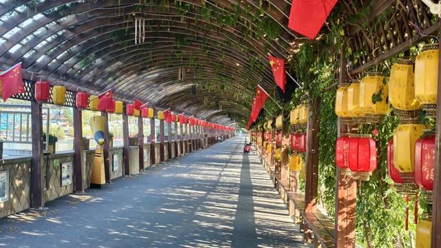 这个国庆，来下营吧