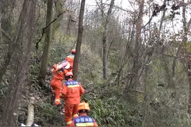 女子山中挖野菜，不慎被捕兽夹“咬”住，消防成功救援图片