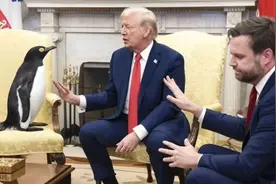 无人能逃过特朗普关税，企鹅也要被征10%图片