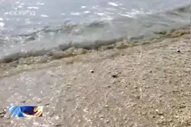 一问到底丨最近海水中出现的“爆爆珠”是什么？有什么危害？专家详解图片