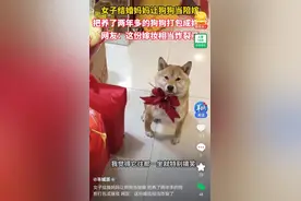 女儿出嫁妈妈把宠物狗也打包带上，网友：这份嫁妆相当炸裂了图片