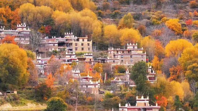 美上央视的秋景，这十条路线请你选！