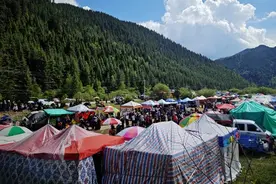 梦想在草原轰鸣，他们直播带货的技巧已炉火纯青图片