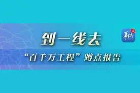 茂名电白区观珠镇：这棵树真“香”，美了乡村富了乡亲图片