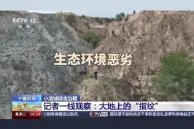 森林覆盖率3%→36% 黄土高原上长出了大地“指纹”图片