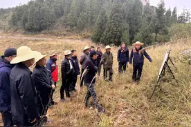 滇东-黔西矿调项目野外验收获评优秀图片