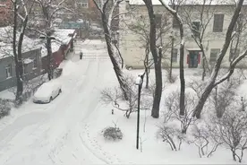 实拍！暴雪中的沈阳，这些身影太暖了！图片