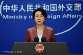 外交部：4只旅居日本的大熊猫将于6月回国图片