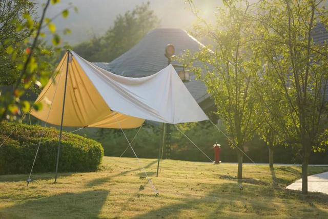 东港，把红叶与暖阳都拥入怀