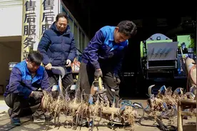 南漳：政策补贴惠农户 春耕生产添动力图片