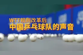 国乒回应WTT规则改革图片