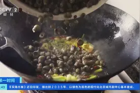 “明前螺，赛过鹅”！江苏海安螺蛳抢“鲜”上市，一斤4.5元→图片