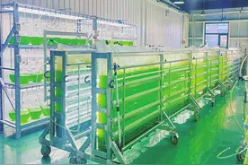 牛粪，就这样“绿色”变身图片