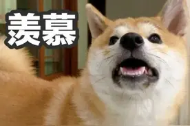 江苏这里，诞生1名千万富翁！图片