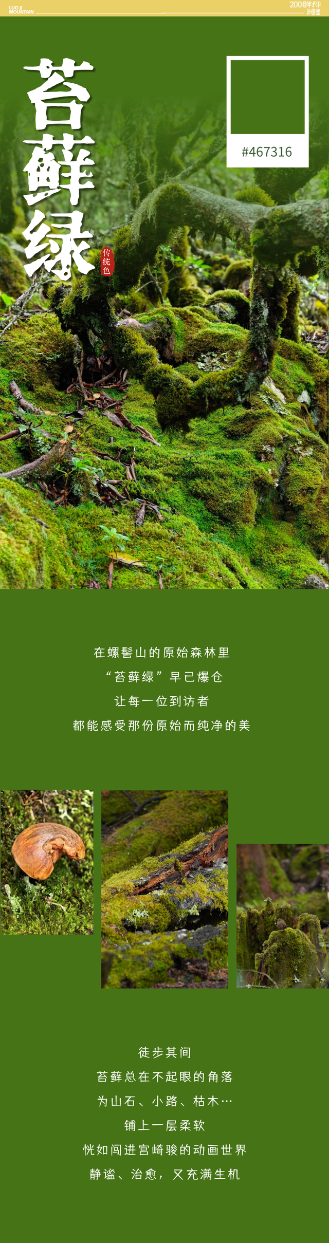景区福利 | 趁门票半价！来抓住螺髻山这抹绿