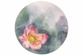 《纲要》培训｜重走清廉路，心中“廉”花开图片