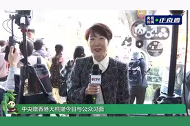 🐼🐼亮相！中央赠港大熊猫“安安”“可可 ”正式与公众见面图片