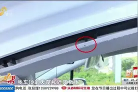 头皮发麻！新车成了“蚂蚁窝”图片