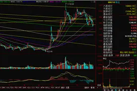 连跌5天的种业板块走强 登海种业涨停图片