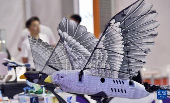 2025世界机器人大会在北京开幕