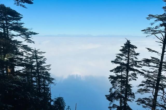 绝了！！今日瓦屋山云海+雪凇美哭啦！太适合爬山啦～