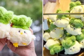 “蒜鸟~蒜鸟~都不yong易~”图片